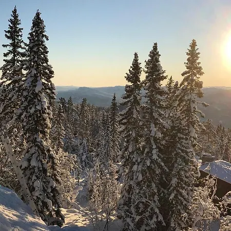 4 Bedroom Pet Friendly In Eggedal